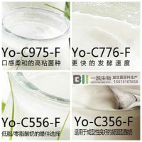 河北一然|鄂爾多斯市菌種招商發(fā)酵型乳酸菌
