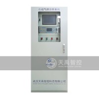 天禹智控TY-8200沼氣在線分析系統